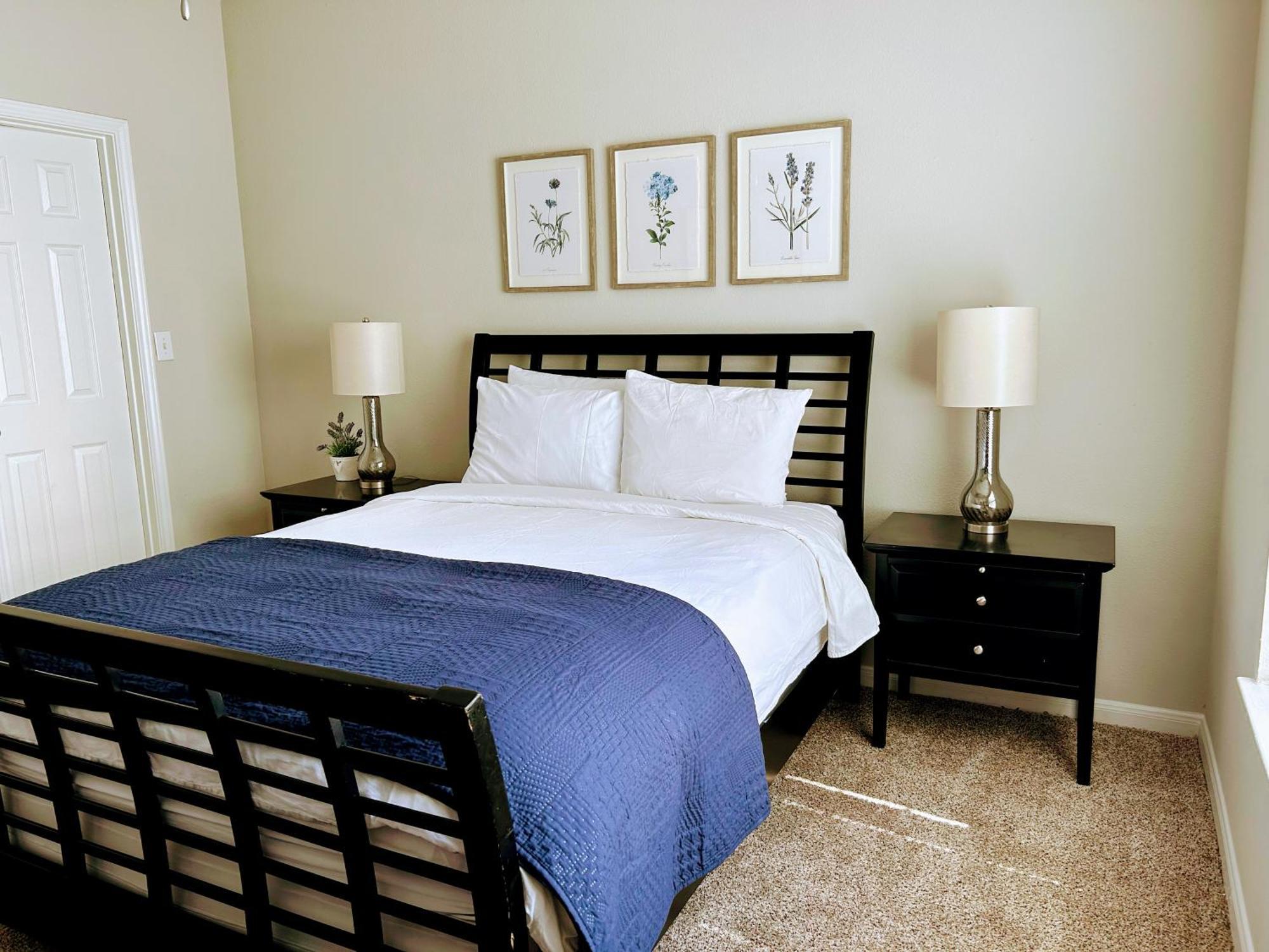 Hidden Gem at Med Center 2BR&2BA Apartment Houston Buitenkant foto