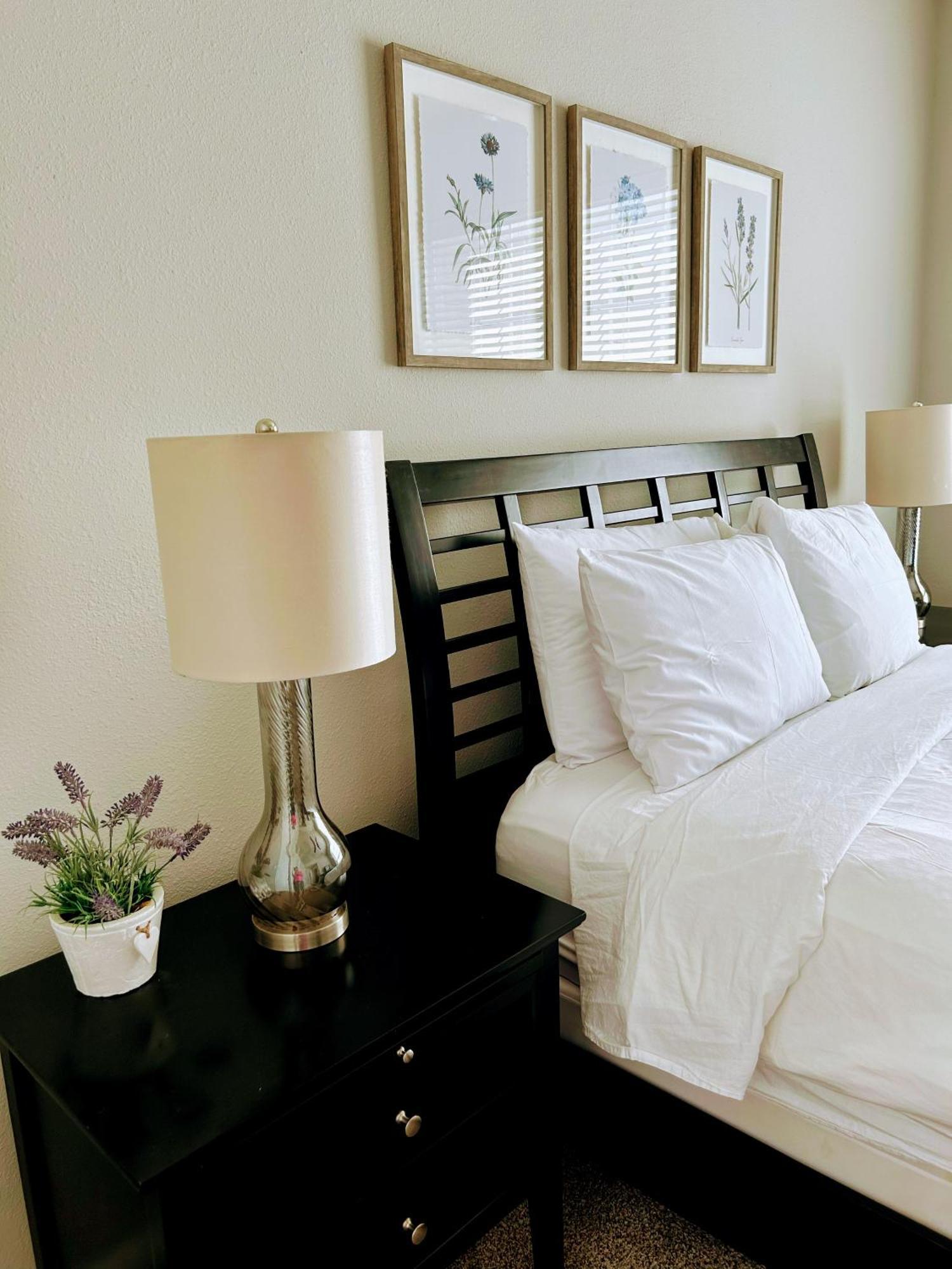 Hidden Gem at Med Center 2BR&2BA Apartment Houston Buitenkant foto